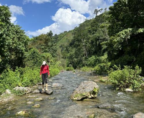 Caminata a las Tapas de Salmerón