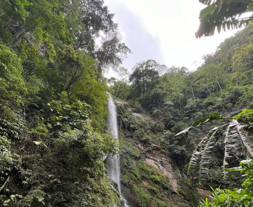 Cascada Manuel Angel Gonzalez
